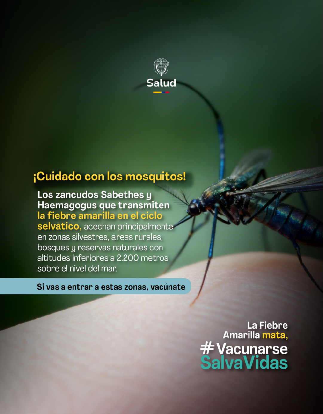 Campaña de vacunación