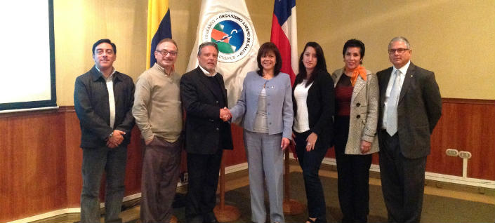 Comisión Andina de Salud