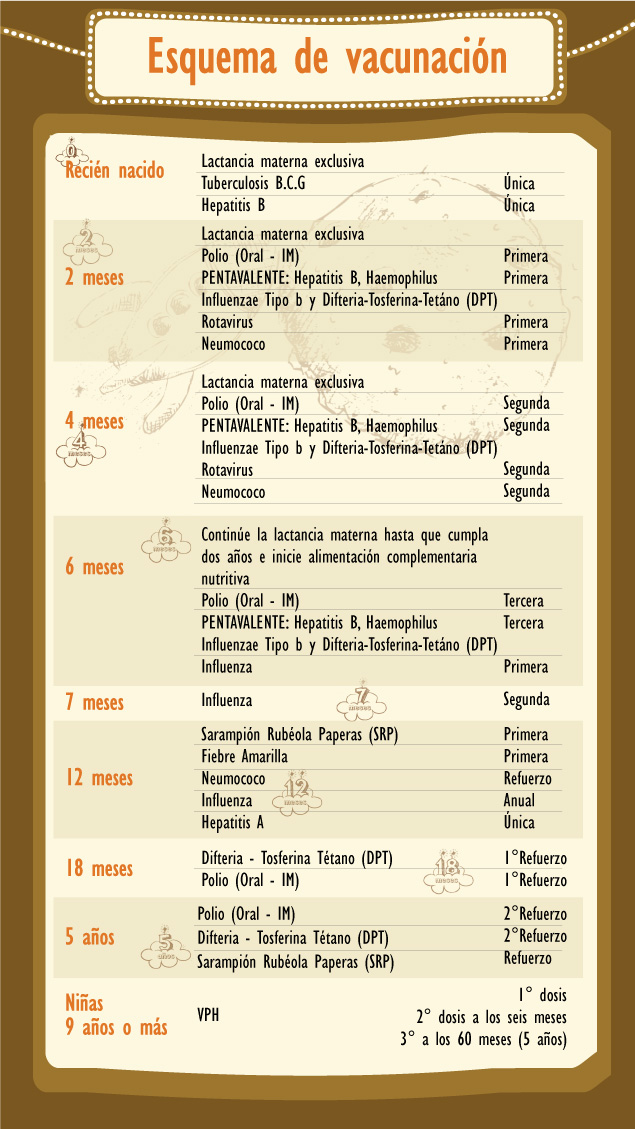 Imagenes Gral Comunicaciones Carnet Vacunas Jun 2013