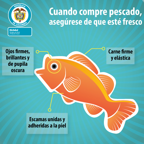 Qué estás comprando cuando compras pescado fresco?