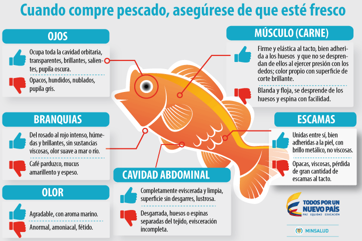 Cuidados al comprar pescado en Semana Santa