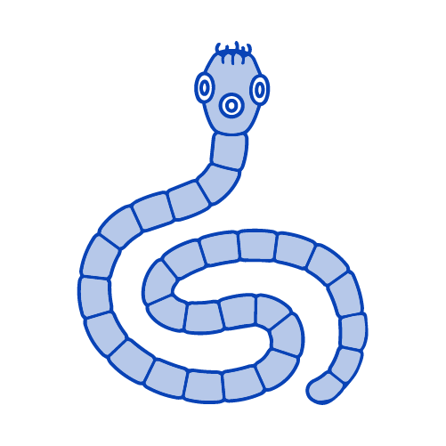 ​Teniasis y Cisticercosis​