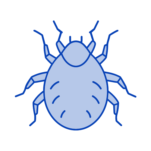 Escabiosis