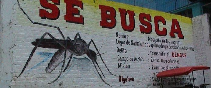 Plan Dengue.jpg