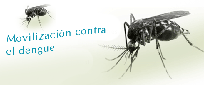 Información Minsalud