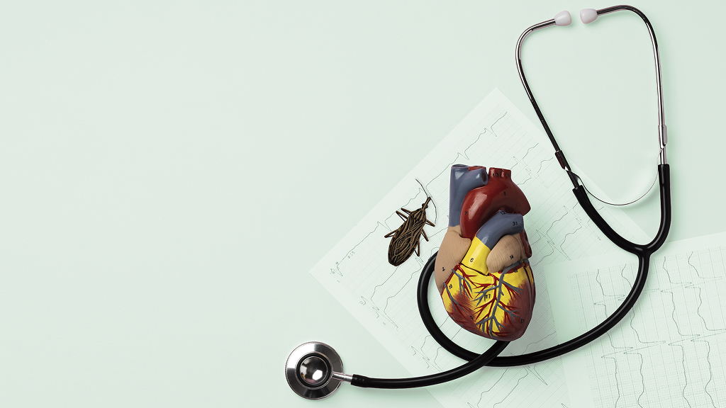 Estetoscopio y maqueta de corazón sobre electrocardiogramas, en referencia a la enfermedad de Chagas