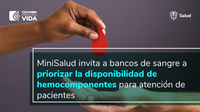 la imagen