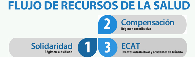 flujorecursos-grafica.gif