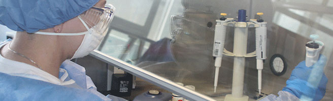 investigacion.gif