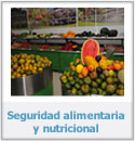 alimenta.jpg