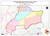 Mapa 9 - Región Funcional VII Oriente Llanos