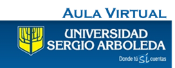 Aula Virtual -USA.png