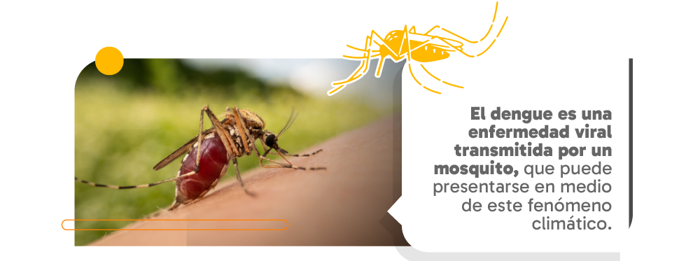dengue.png