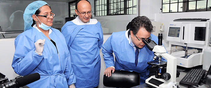 minis-buena-lab-azul-nov-11.gif